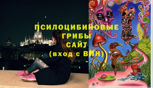 амф Алзамай